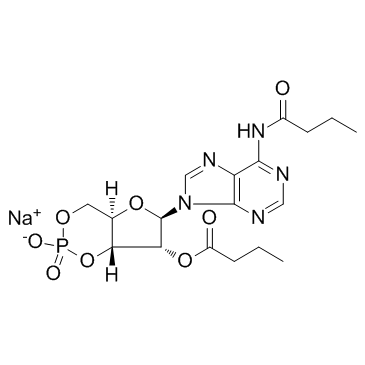 N6,2'-O-二丁?；佘?',5'-環(huán)磷酸鈉鹽
